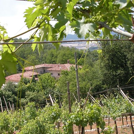 Agriturismo Ca' Verde Sant'Ambrogio di Valpolicella Ngoại thất bức ảnh