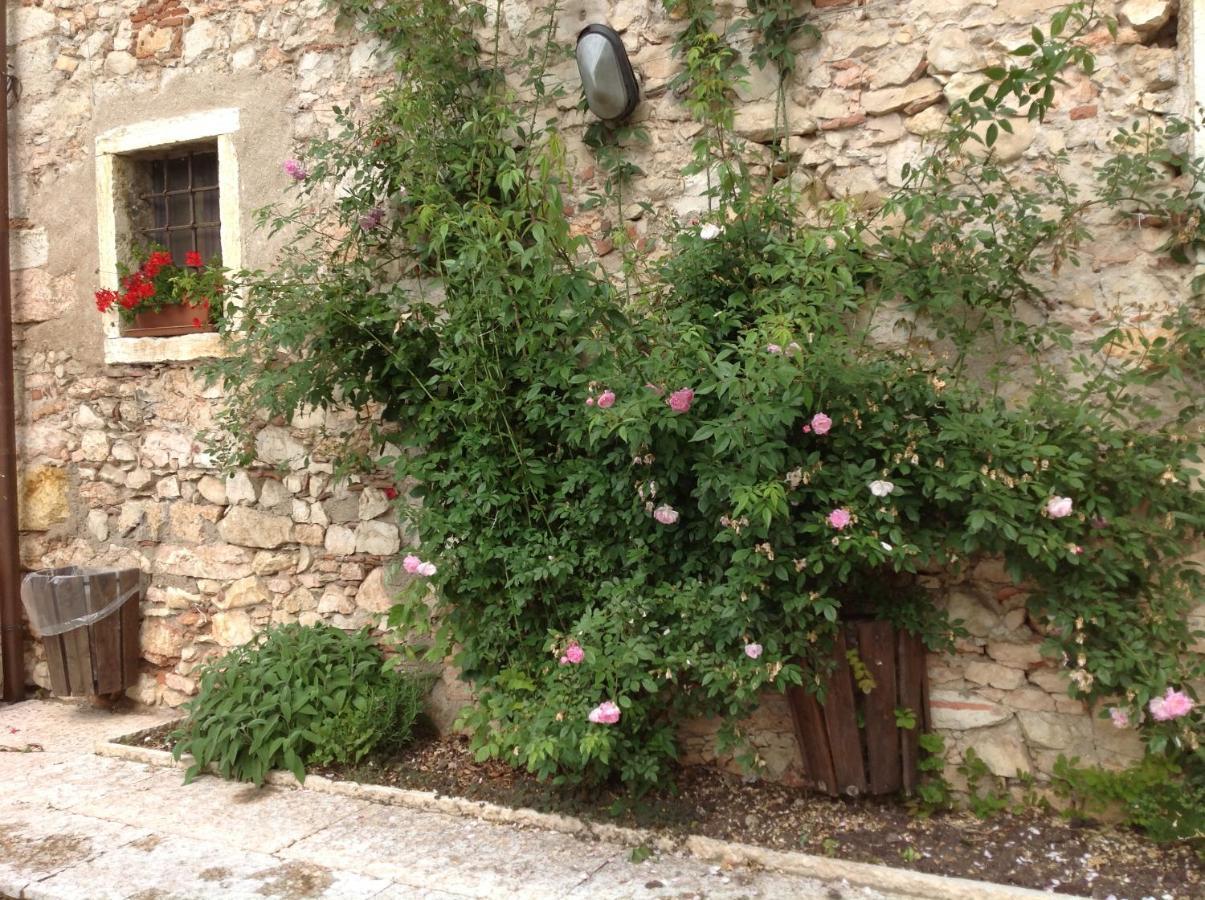 Agriturismo Ca' Verde Sant'Ambrogio di Valpolicella Ngoại thất bức ảnh