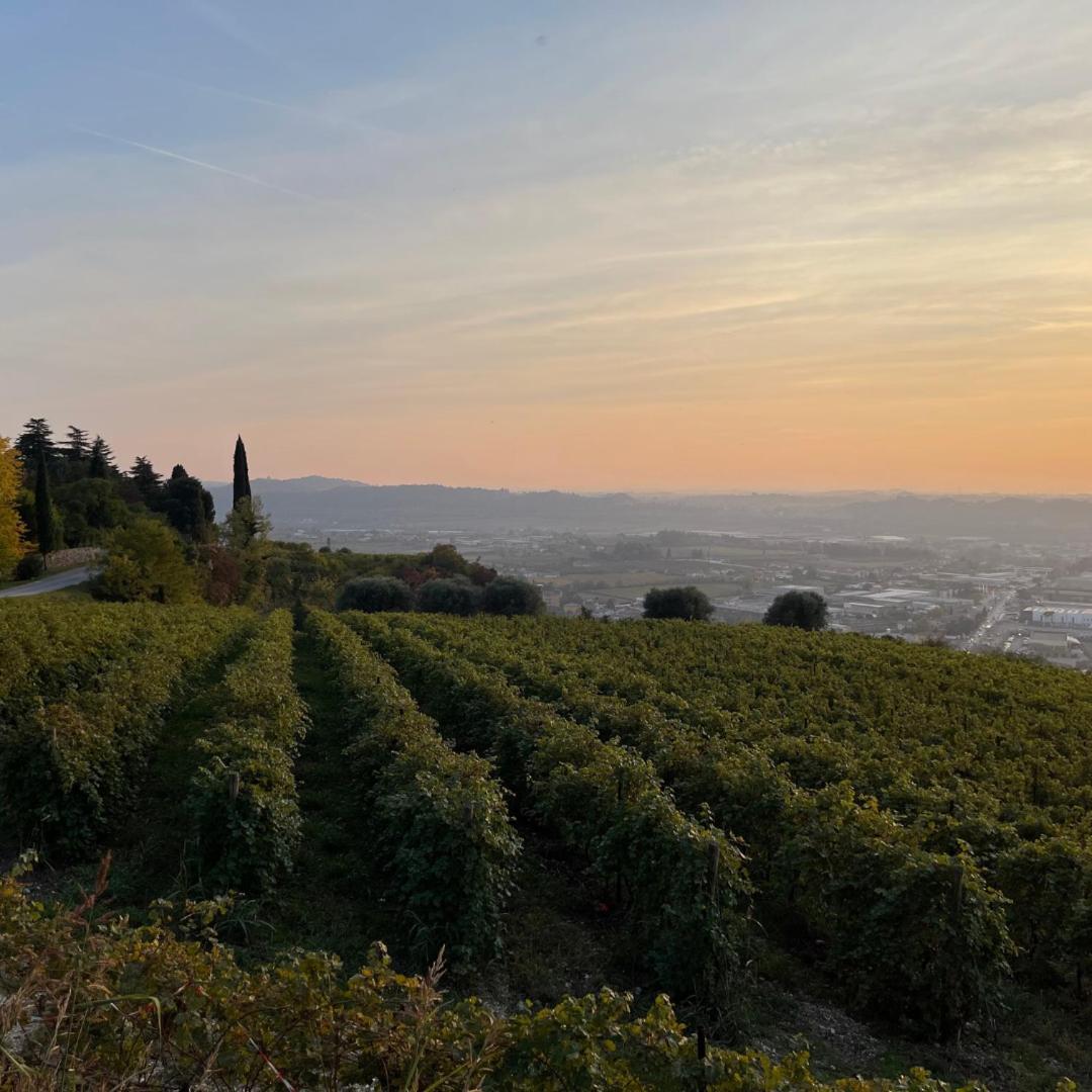 Agriturismo Ca' Verde Sant'Ambrogio di Valpolicella Ngoại thất bức ảnh