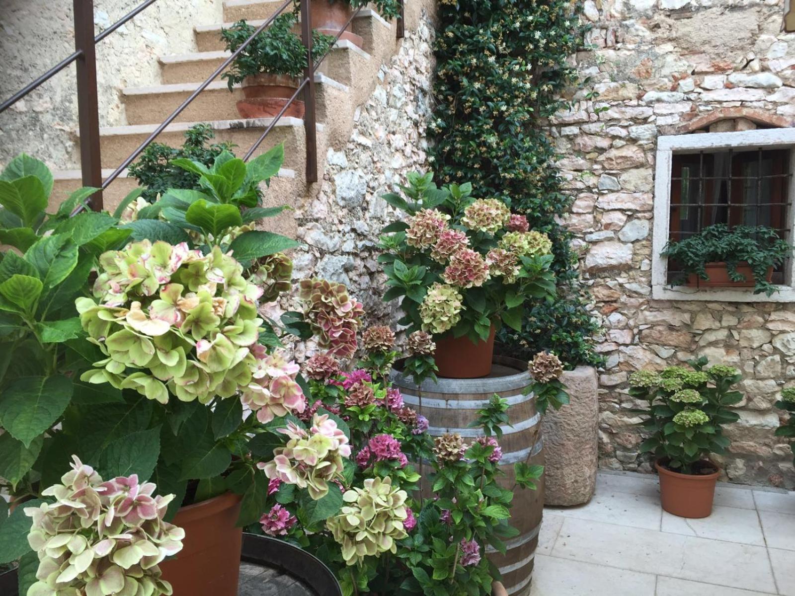 Agriturismo Ca' Verde Sant'Ambrogio di Valpolicella Ngoại thất bức ảnh