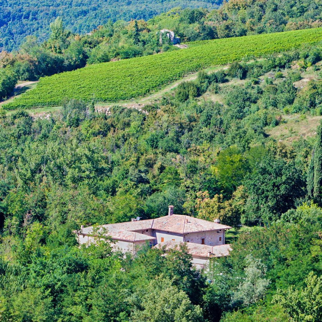 Agriturismo Ca' Verde Sant'Ambrogio di Valpolicella Ngoại thất bức ảnh